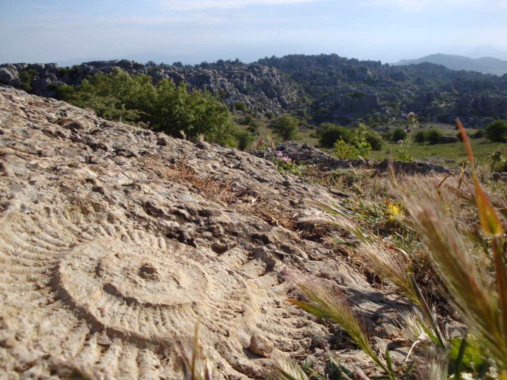 Ruta de los Ammonites al atardecer