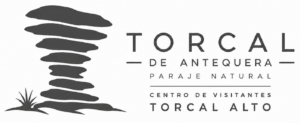NUEVO LOGO RECTANGULAR