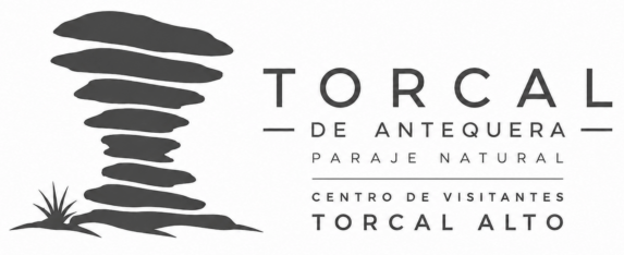 NUEVO LOGO RECTANGULAR
